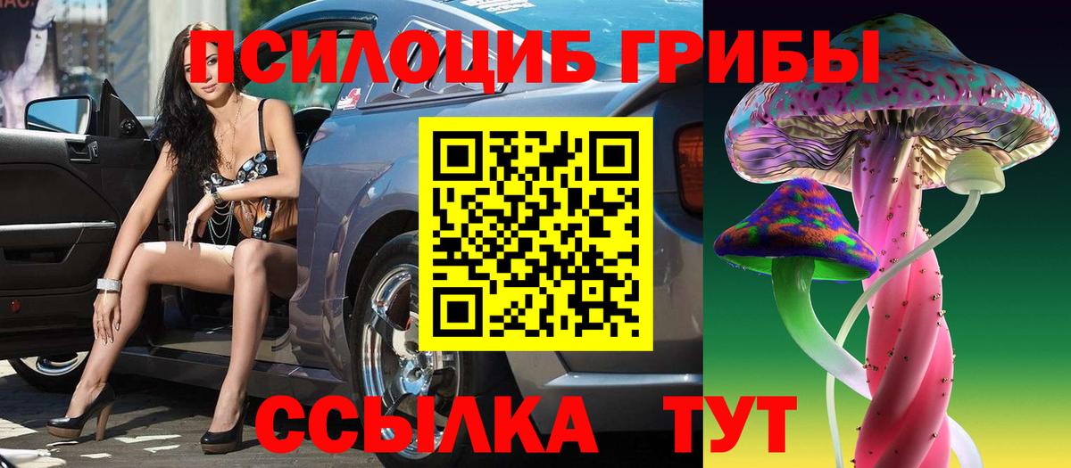 Галлюциногенные грибы MAGIC MUSHROOMS  Вход с VPN  Кудрово 