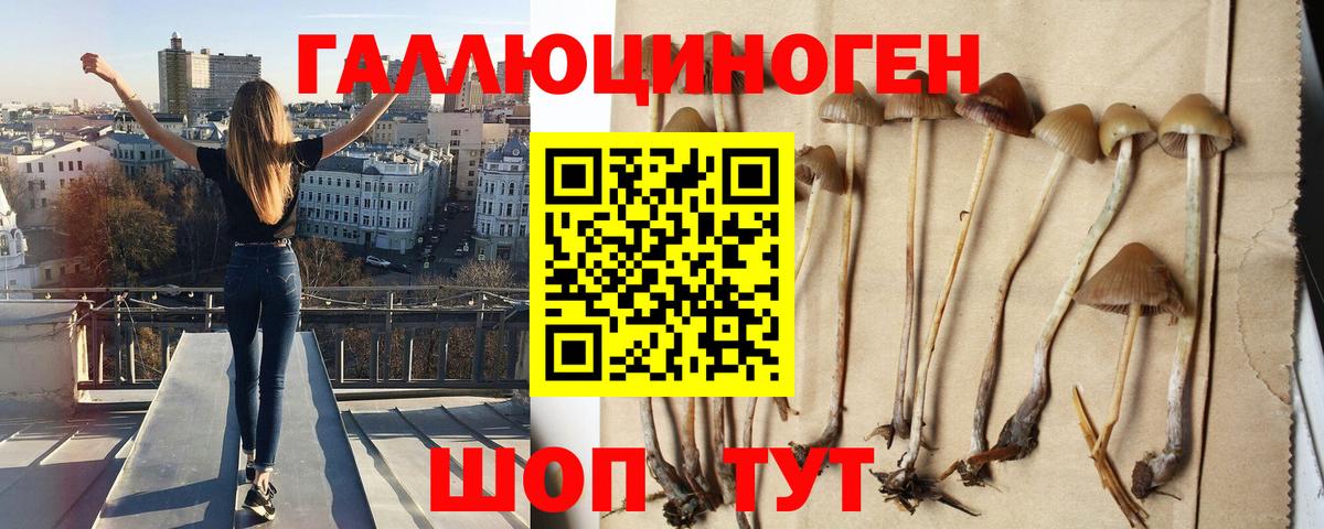 Галлюциногенные грибы ЛСД Кудрово